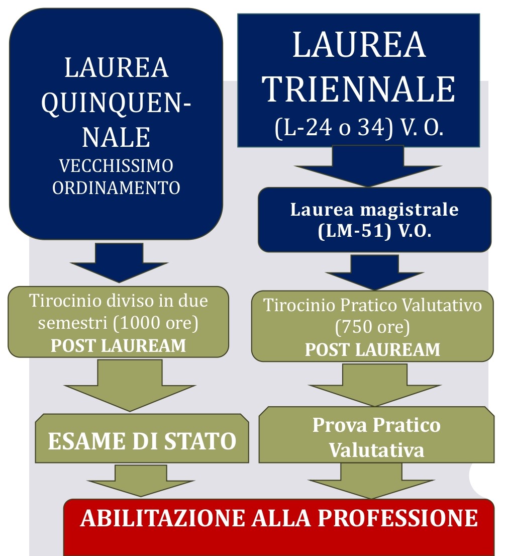 Schema vecchio percorso non abilitante Psicologia unifi